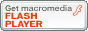 Click here to download Macromedia Flash Player.